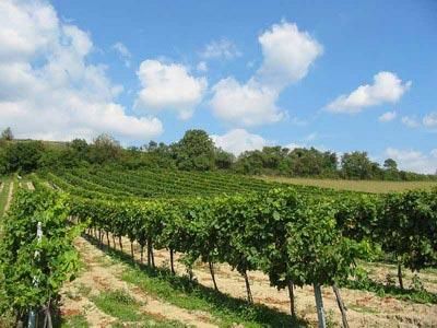 背上行囊，讓心去旅行：全球最吸引人的20個旅游目的地