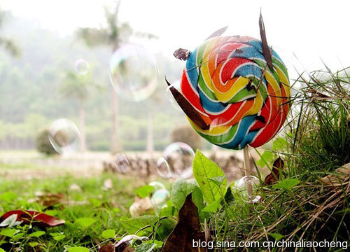 寶島臺灣過新年，體驗臺北平民的時尚生活