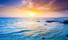 斯里蘭卡出海觀鯨七日游