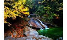 成都+重慶雙城春節(jié)版五日游