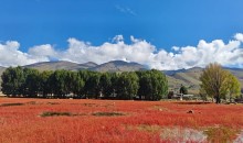 川西畫里成都/綿陽、木雅圣地、魚子溪、新都橋、稻城亞丁、墨石公園雙飛七日游